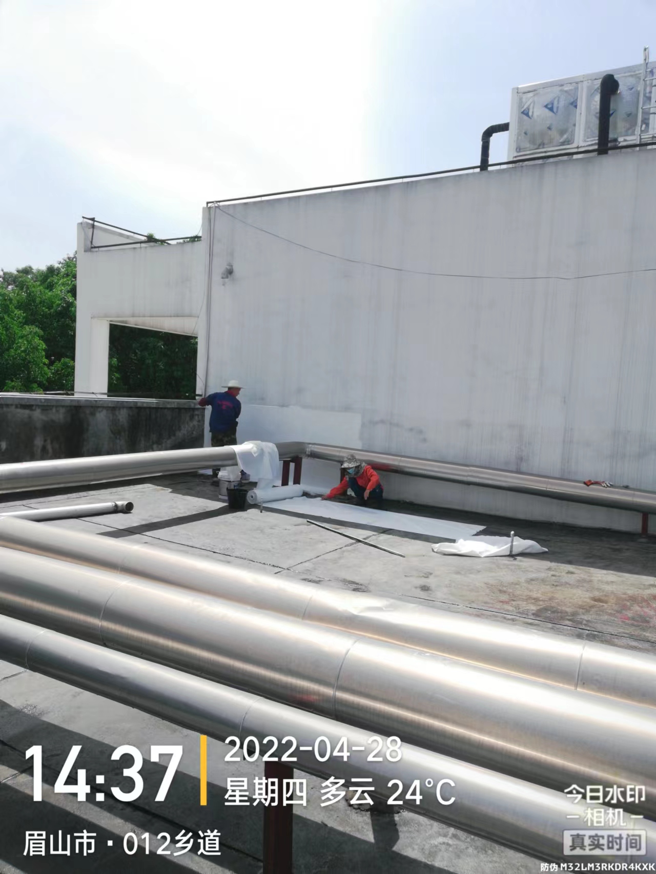 1654312323128455.jpg 1654312323128455.jpg